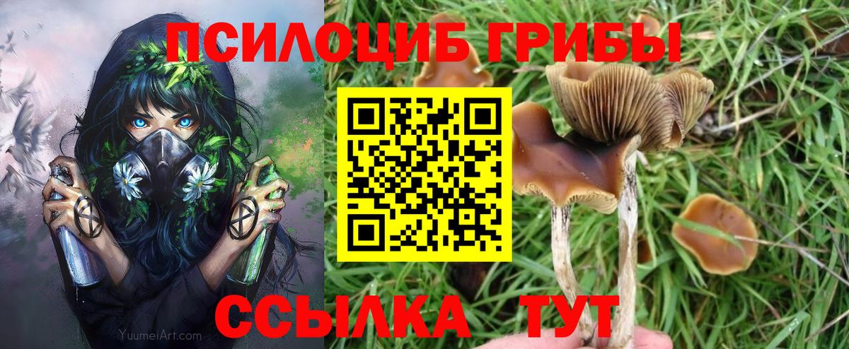 Волоколамск  Галлюциногенные грибы GOLDEN TEACHER  купить наркоту  Вход с VPN 